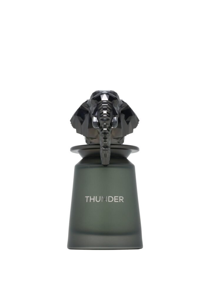 French Avenue French Avenue Thunder 100ml EDP — bottle photo